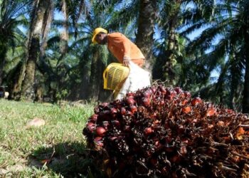 Segmen hiliran IOI Corp bangkit, keuntungan melonjak lebih 100%